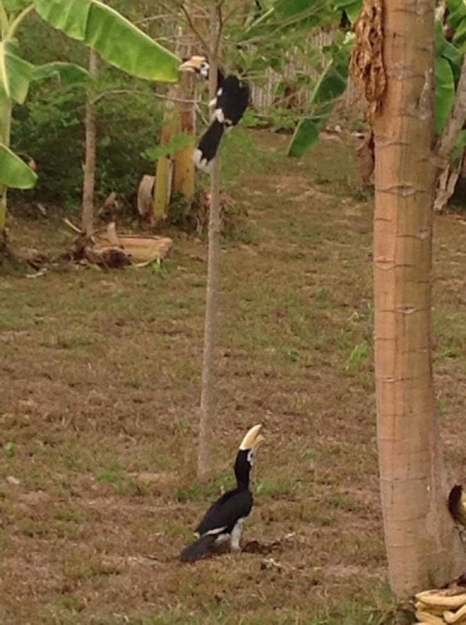 Bannsuan Amaleena Ko Yao Noi Exterior foto